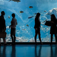 Océanopolis - Brest (29) - Les aquariums