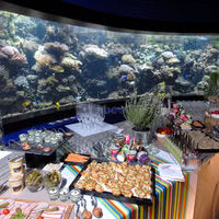 Océanopolis - Brest (29) - Cocktail dinatoire au milieu des aquariums