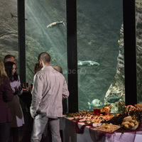 Océanopolis - Brest (29) - Cocktail au milieu des aquariums