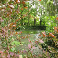 Le Moulin de Plachy