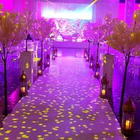 Salle de mariage 91