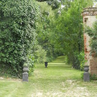 Le chemin des biches