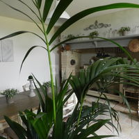 Manoir des Barrayrous