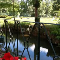 Au bord du petit morin