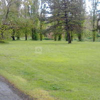 Auberge ô Petit Moulin