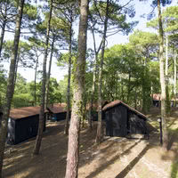 Petits hébergements en forêt