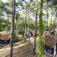 Petits hébergements en forêt