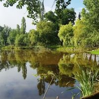 L'étang de pêche