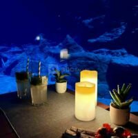 Planet Ocean Montpellier