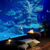 Planet Ocean Montpellier