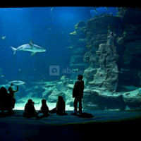 Planet Ocean Montpellier