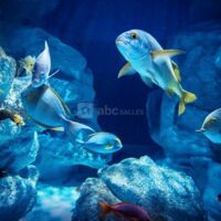 Planet Ocean Montpellier