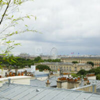 Le Narcisse Blanc Hôtel & Spa