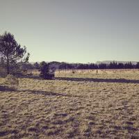 Vue sur les Alpilles