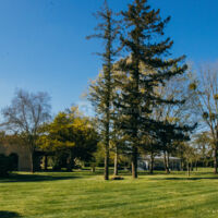 Parc