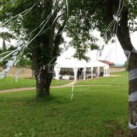 Repas de mariage en extérieur avec chapiteau