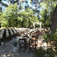 Cérémonie dans le parc des pins parasols