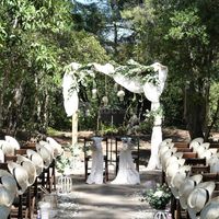 Cérémonie dans le parc des pins parasols