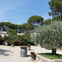 Cour principale