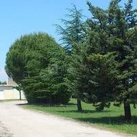 La Friande