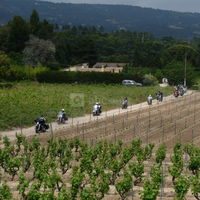 Domaine Au Cœur Des Vignes