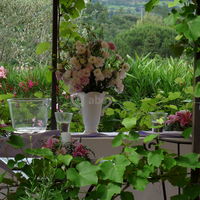 Domaine Au Cœur Des Vignes