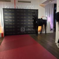 Le Showroom 01