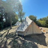 Tentes dans terrain boisé