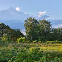 Le Fort de Bruyères