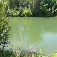 Vue du Tarn