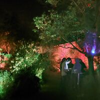 Jardin salle de nuit
