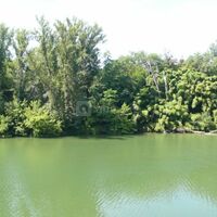 Vue sur le tarn