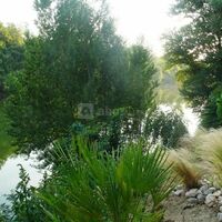 Vue sur le tarn
