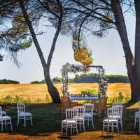 Sous les pins parasol