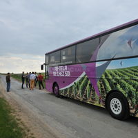 Bus en Vignes