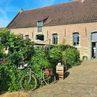 Le patio