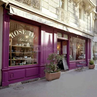 Rose The