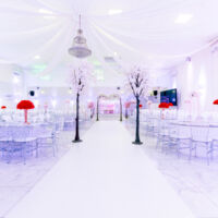 Les Salons d'Elyssa