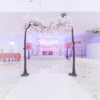 Les Salons d'Elyssa