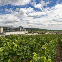 Salle l'Effervescence