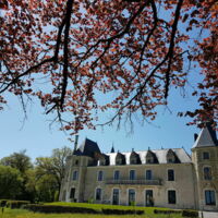 Façade avant sous les arbres
