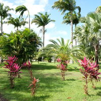 Parc