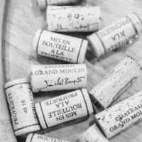 Château Grand Moulin