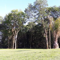 Parc ombragé