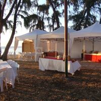 Domaine de Vin's