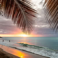 Langley Resort Fort Royal