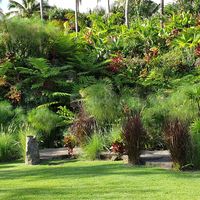 Domaine des Mille Cocos