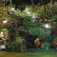 Domaine des Mille Cocos