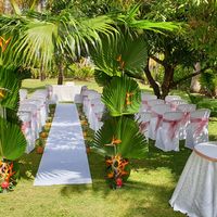 Domaine des Mille Cocos