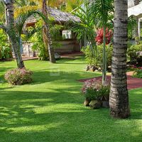 Domaine des Mille Cocos